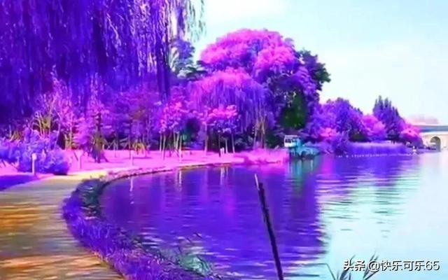 虫虫助手下载